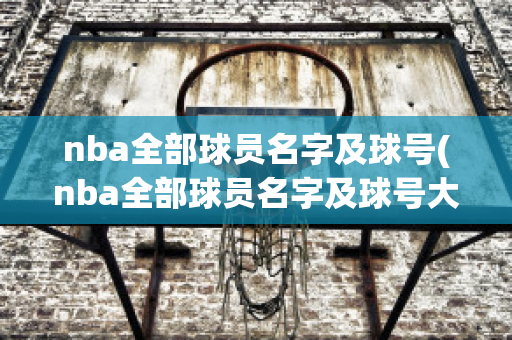 nba全部球员名字及球号(nba全部球员名字及球号大全)