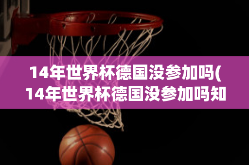 14年世界杯德国没参加吗(14年世界杯德国没参加吗知乎)