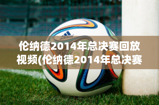 伦纳德2014年总决赛回放视频(伦纳德2014年总决赛回放视频)