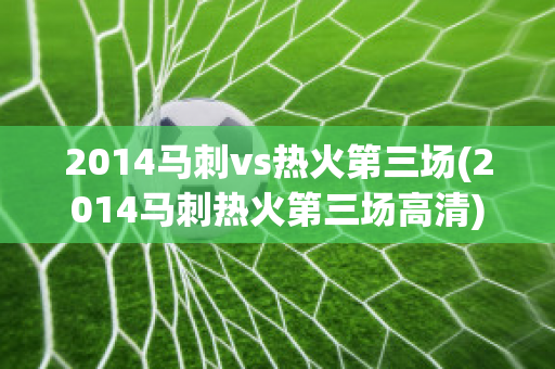 2014马刺vs热火第三场(2014马刺热火第三场高清)