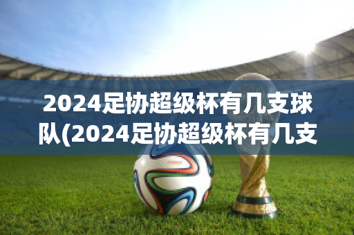 2024足协超级杯有几支球队(2024足协超级杯有几支球队参赛)