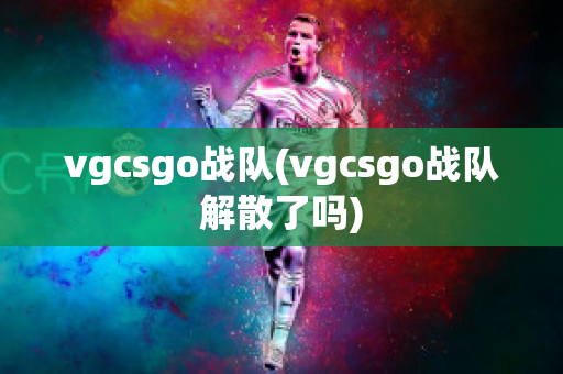 vgcsgo战队(vgcsgo战队解散了吗)