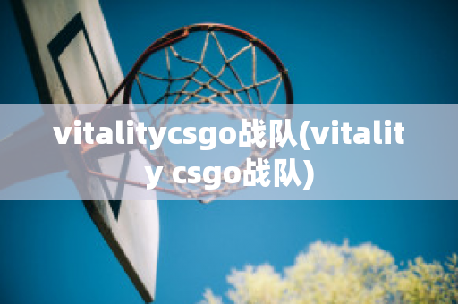 vitalitycsgo战队(vitality csgo战队)