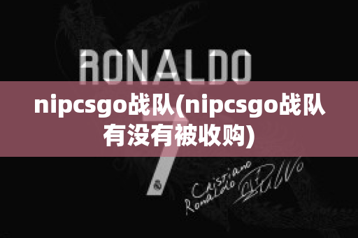 nipcsgo战队(nipcsgo战队有没有被收购)