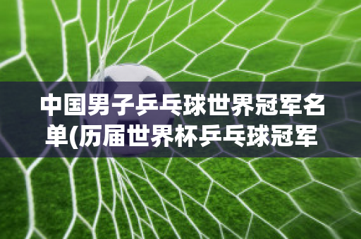 中国男子乒乓球世界冠军名单(历届世界杯乒乓球冠军一览表)