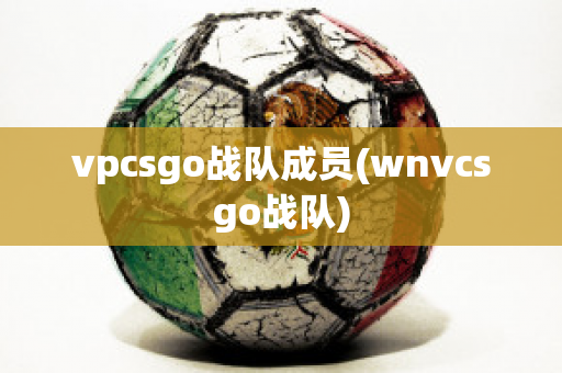 vpcsgo战队成员(wnvcsgo战队)