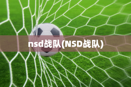 nsd战队(NSD战队)