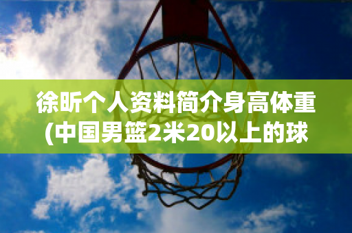 徐昕个人资料简介身高体重(中国男篮2米20以上的球员)