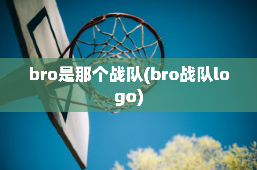 bro是那个战队(bro战队logo)