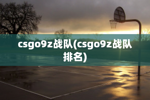 csgo9z战队(csgo9z战队排名)