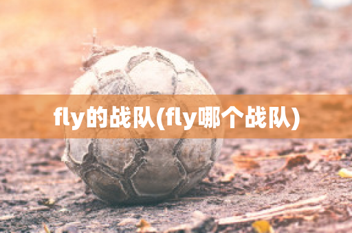 fly的战队(fly哪个战队)