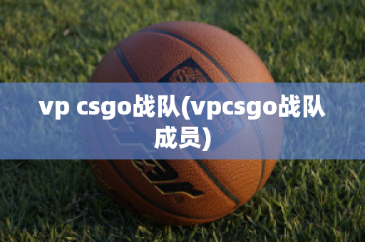 vp csgo战队(vpcsgo战队成员)