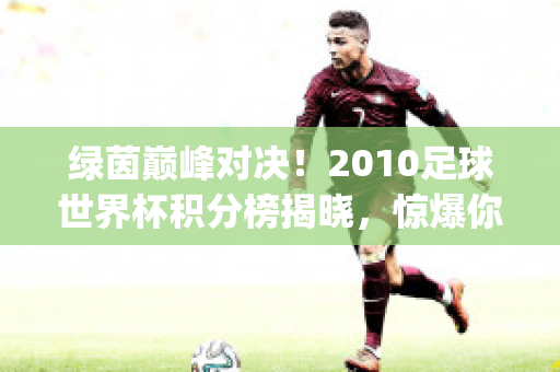 绿茵巅峰对决！2010足球世界杯积分榜揭晓，惊爆你的眼球！(2010世界杯小组赛积分)