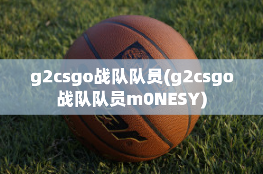 g2csgo战队队员(g2csgo战队队员m0NESY)