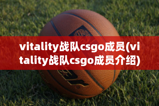 vitality战队csgo成员(vitality战队csgo成员介绍)