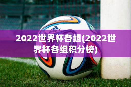 2022世界杯各组(2022世界杯各组积分榜)