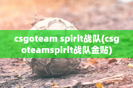 csgoteam spirit战队(csgoteamspirit战队金贴)