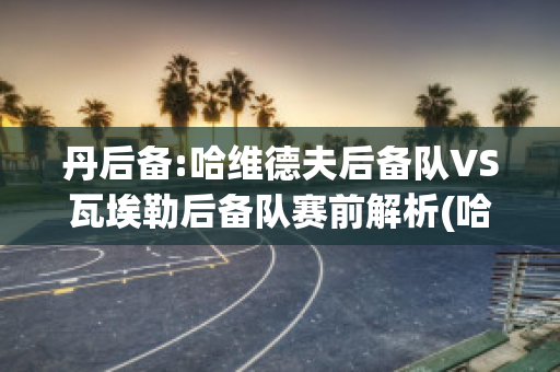 丹后备:哈维德夫后备队VS瓦埃勒后备队赛前解析(哈维德夫足球俱乐部)