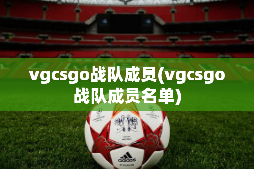 vgcsgo战队成员(vgcsgo战队成员名单)