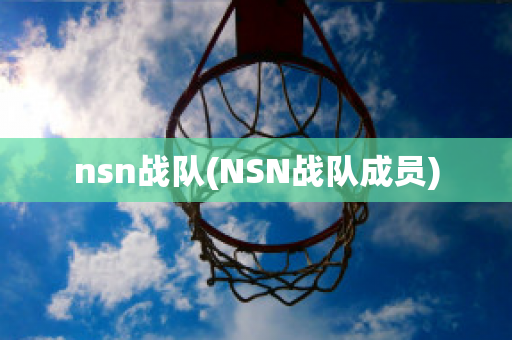 nsn战队(NSN战队成员)