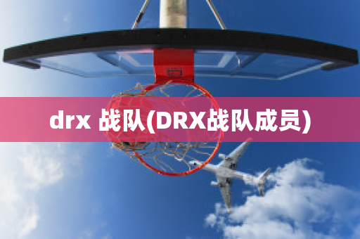 drx 战队(DRX战队成员)