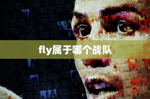 fly属于哪个战队