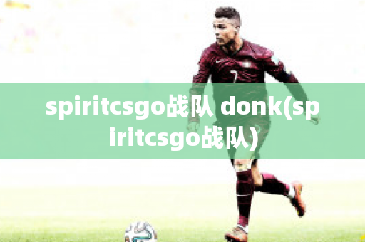 spiritcsgo战队 donk(spiritcsgo战队)