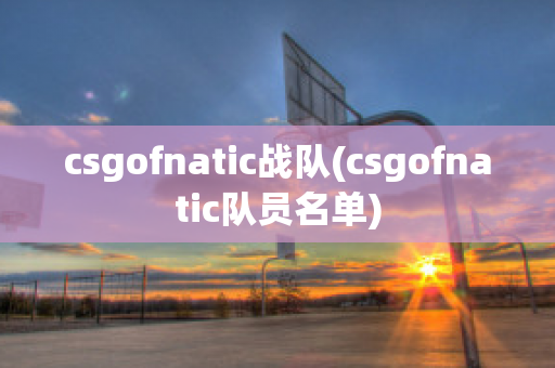 csgofnatic战队(csgofnatic队员名单)