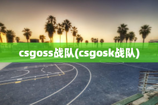 csgoss战队(csgosk战队)