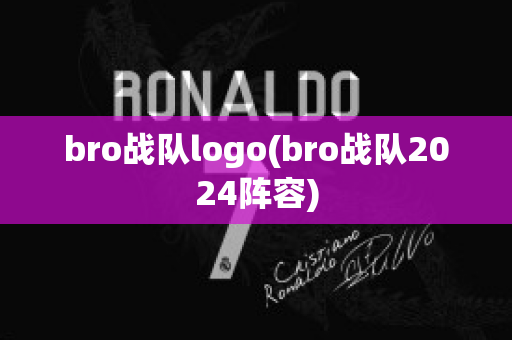 bro战队logo(bro战队2024阵容)