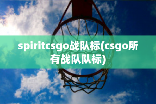 spiritcsgo战队标(csgo所有战队队标)