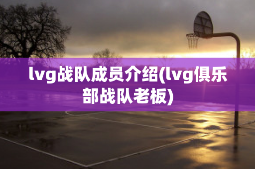 lvg战队成员介绍(lvg俱乐部战队老板)