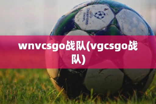 wnvcsgo战队(vgcsgo战队)