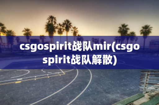 csgospirit战队mir(csgospirit战队解散)