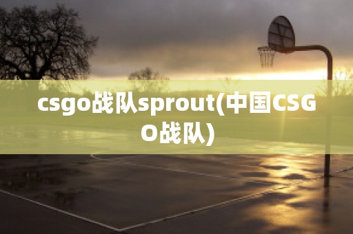 csgo战队sprout(中国CSGO战队)