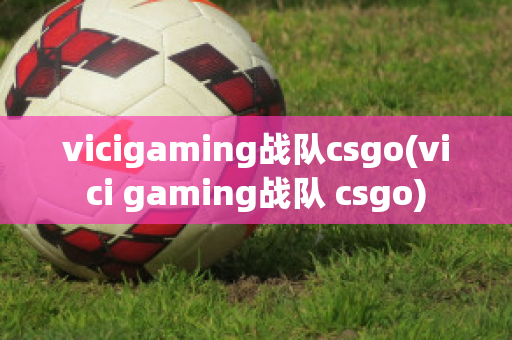 vicigaming战队csgo(vici gaming战队 csgo)