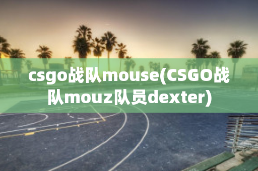 csgo战队mouse(CSGO战队mouz队员dexter)