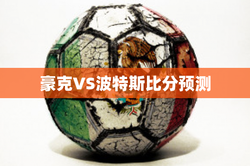 豪克VS波特斯比分预测