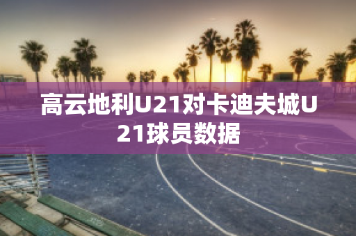 高云地利U21对卡迪夫城U21球员数据