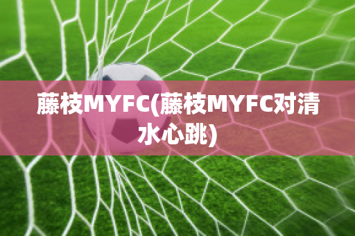 藤枝MYFC(藤枝MYFC对清水心跳)