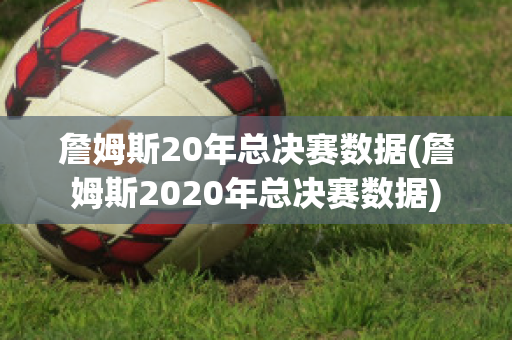 詹姆斯20年总决赛数据(詹姆斯2020年总决赛数据)