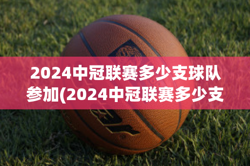 2024中冠联赛多少支球队参加(2024中冠联赛多少支球队参加世界杯)