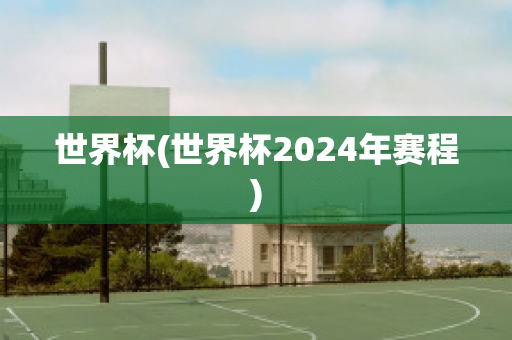 世界杯(世界杯2024年赛程)