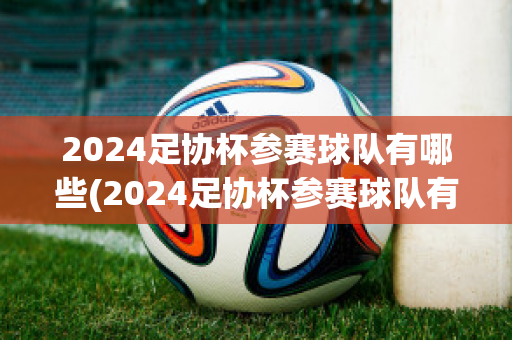 2024足协杯参赛球队有哪些(2024足协杯参赛球队有哪些呢)