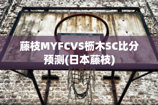 藤枝MYFCVS枥木SC比分预测(日本藤枝)