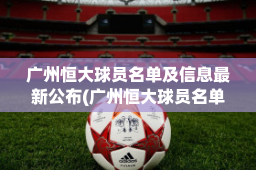 广州恒大球员名单及信息最新公布(广州恒大球员名单及信息最新公布时间)