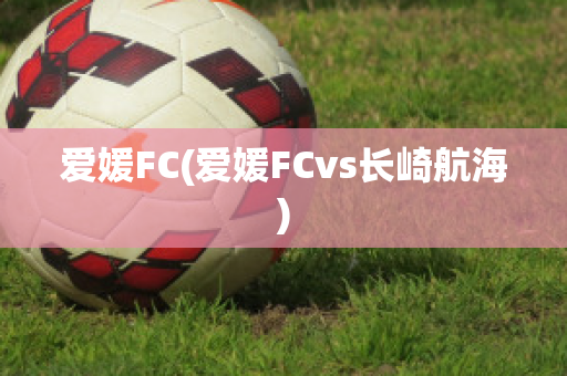 爱媛FC(爱媛FCvs长崎航海)