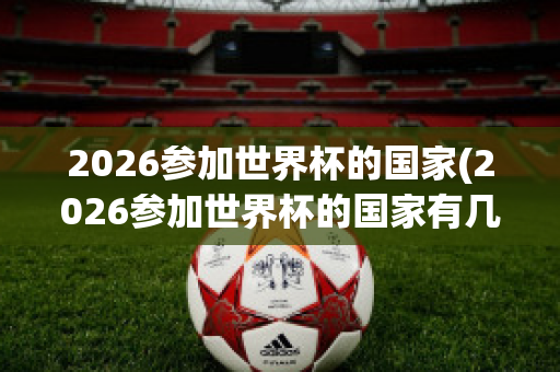 2026参加世界杯的国家(2026参加世界杯的国家有几个)