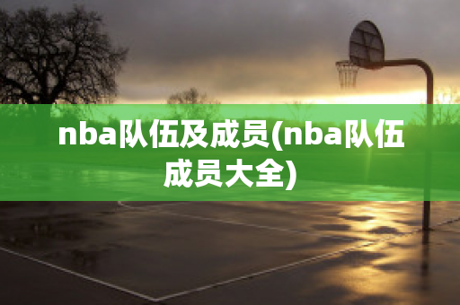 nba队伍及成员(nba队伍成员大全)