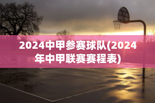 2024中甲参赛球队(2024年中甲联赛赛程表)